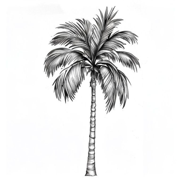 Palm Tree tattoo design